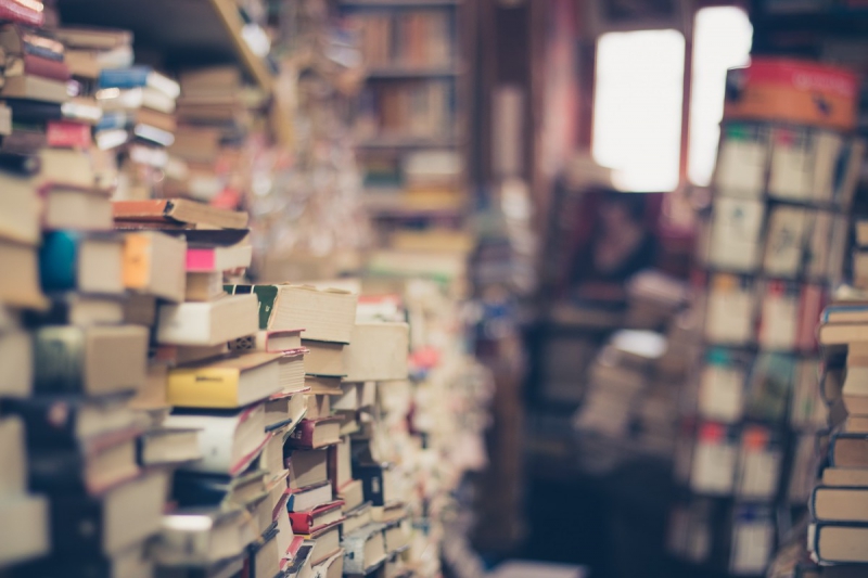 vitrine-BAIROLS-min_books_stack_book_store_stack_of_books_2nd_hand_retro_hipster_shop-829090
